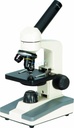 Microscopio BellO-MicBioT-XNL - WP