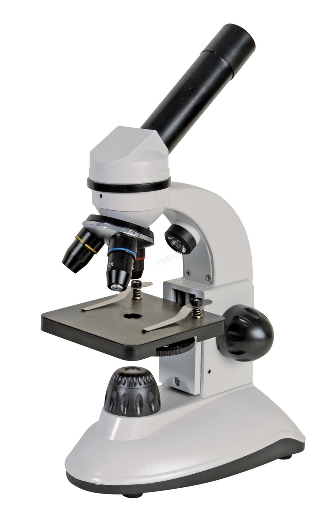 Microscopio BellO-MicBioT-XH - WP