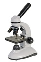 Microscopio BellO-MicBioT-XH - WP