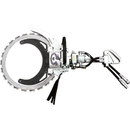 Sierra de anillo de dragon - WP