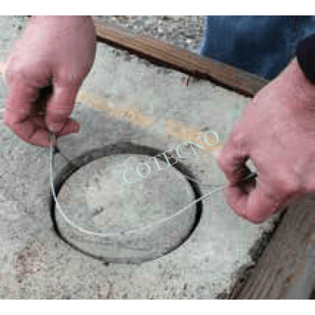 Remocion de nucleo - WP