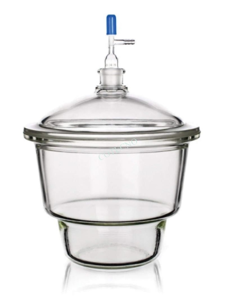 Desecador de vacio con llave de paso y placa de porcelana - WP