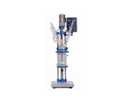Reactor de vidrio revestido 2L - 100L - WP