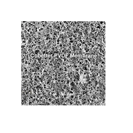 Membrana PVDF hidrofilica / hidrofobica - WP