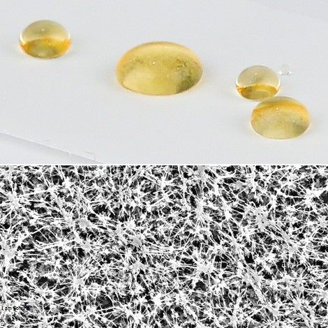 Membranas de PTFE oleofobicas - WP