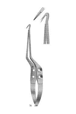 Lateralmente EN angulo - WP