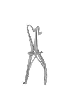 Fergusson ackland - WP