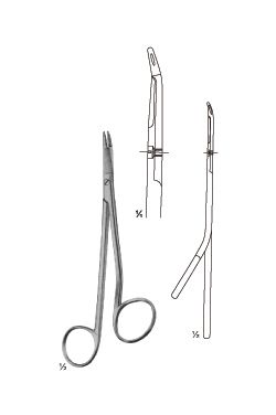 PORTA agujas gillies - WP