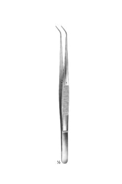 Forceps DE diseccion delicados - WP