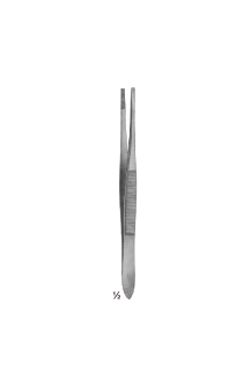 Forceps DE diseccion - WP