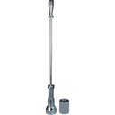 Muestra de suelo superficial - WP