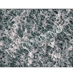 Membranas hidrofilicas DE PTFE advantec SIN laminar - WP