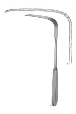 Modelo tubingen - WP