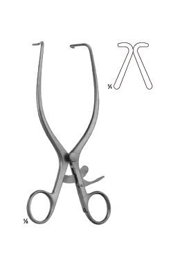 Jackson burrows - WP