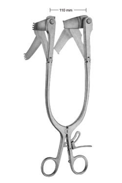 Modificacion cloward - WP