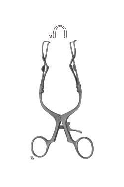 HOJA finamente dentada - WP