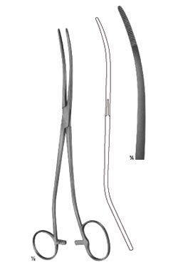 Bozemann douglas - WP