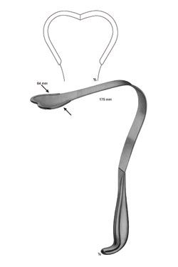 Harrington pemberton - WP