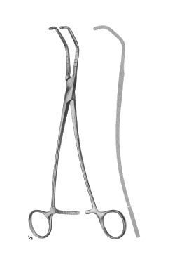 DE BAKEY satinsky - WP