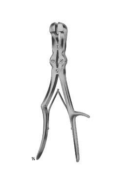 Sauerdruch coryllos - WP