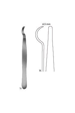 Palancas DE HUESO - WP