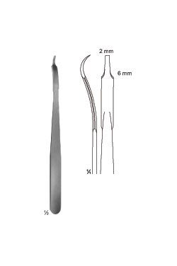 Palancas DE HUESO - WP