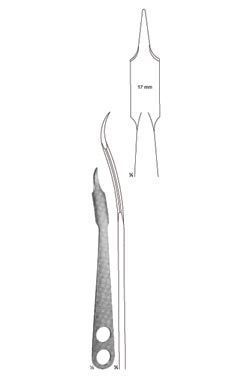 Palancas DE HUESO - WP