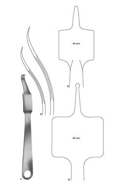 Verbrugge muller - WP