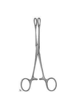 Ballenger foerster - WP