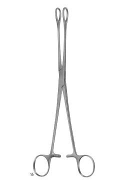 Foerster ballenger - WP