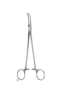 Geissendoerfer superior - WP