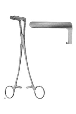 Wertheim cullen - WP