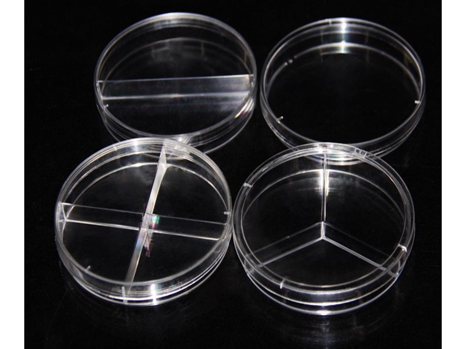 Placa de cultivo de petri - BellVid-PlacaCPetri-90 - WP