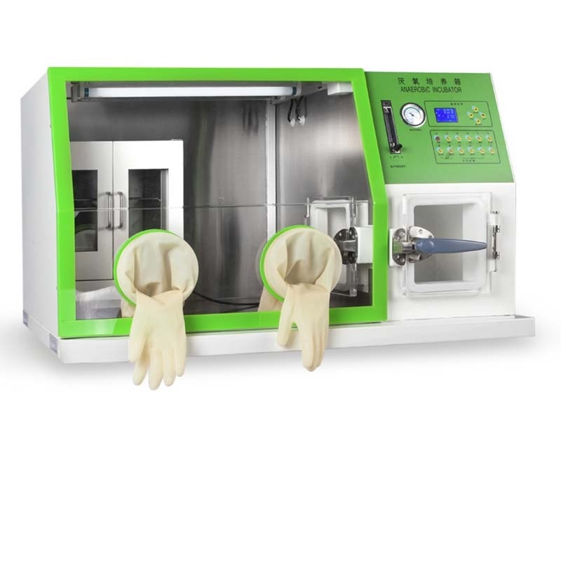 Estacion de trabajo anaerobica 1200W de sobremesa BP-EstTraAn-1200 - WP