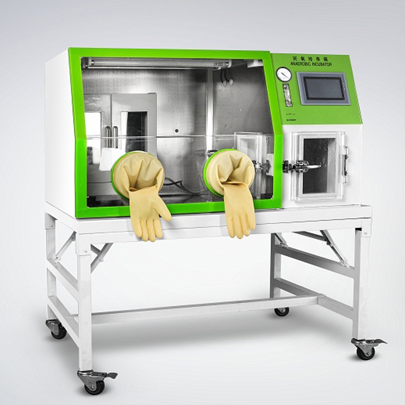 Incubadora anaerobica 600W BP-IncAna-600 - WP