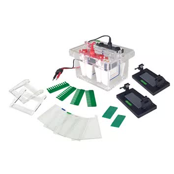 Minicelula de electroforesis 2.5kg Bell-MiniCeluElecFor-1000 - WP