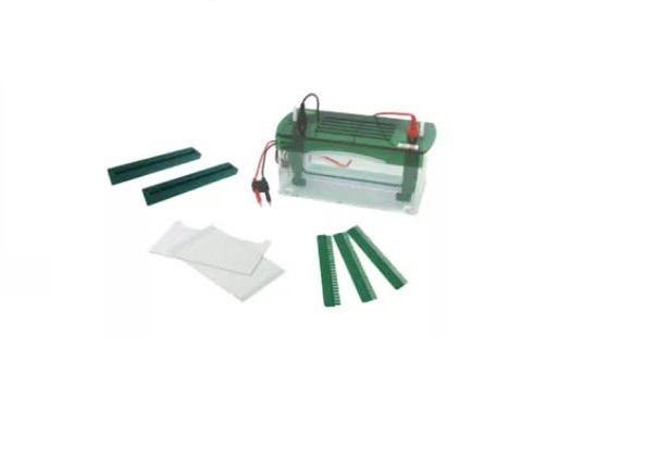 Electroforesis vertical rapida SSR Bell-EleVeRA-1800 - WP