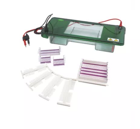 Celula de electroforesis horizontal Bell-CelElecHoriz-550 - WP