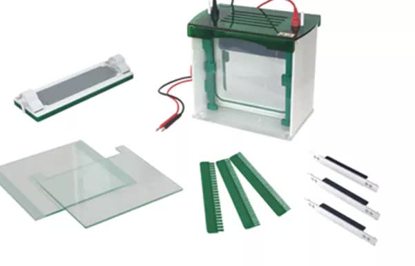 FSF-CZ-BL cubeta de electroforesis vertical rapid SSR - WP
