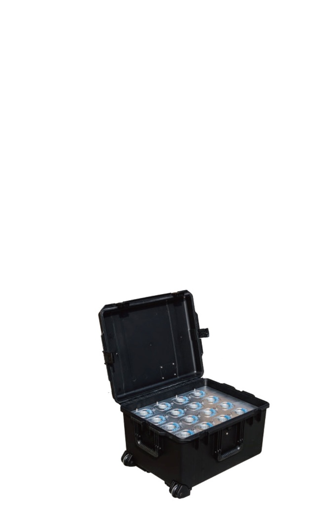 Sistema de canales pequeños - recolector de datos portatil (PDH) - WP