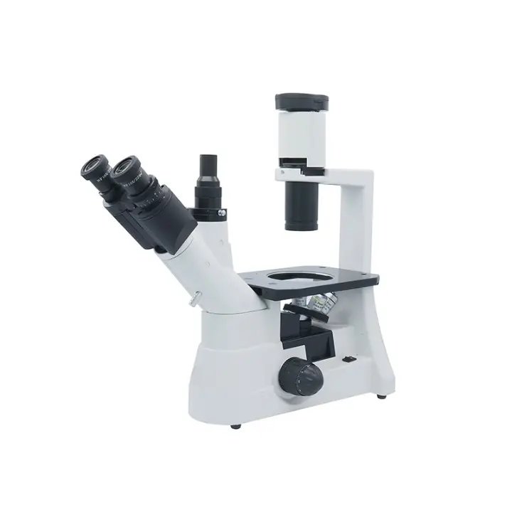 Microscopio trinocular invertido ocular P10×/22 mm