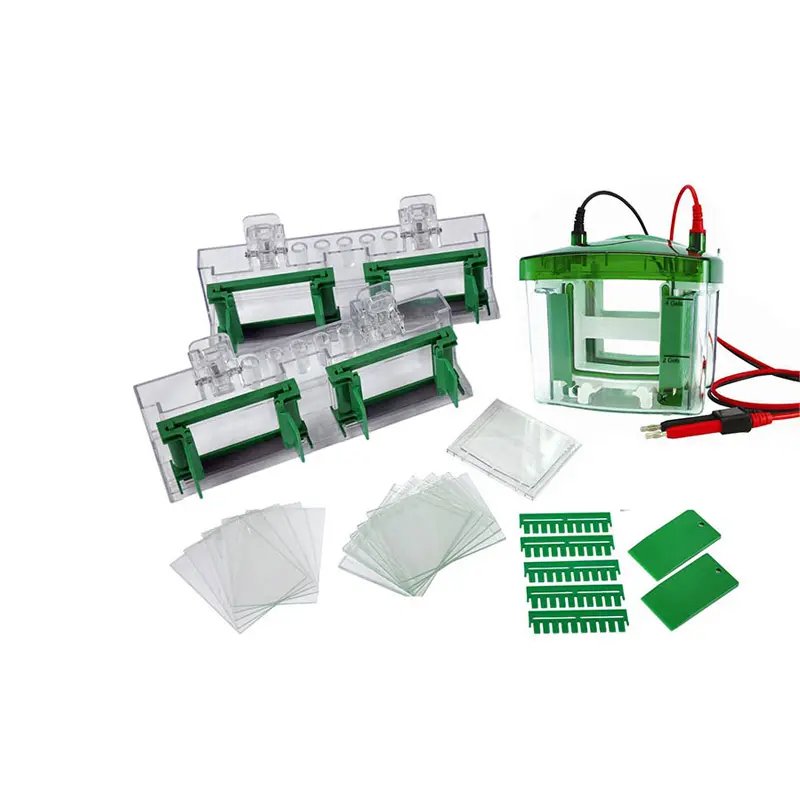Tanque de electroforesis vertical 10 muestras 10–40 piezas