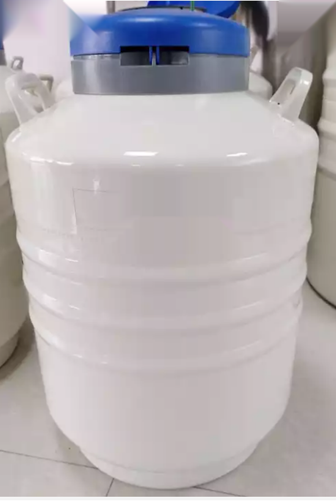Contenedor de nitrogeno liquido, 31,5 Lts, BellContNitY-30