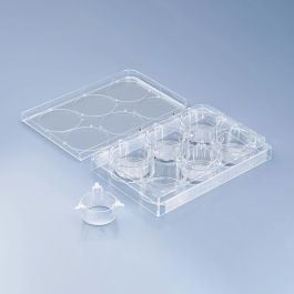 cellQARTR Pre-Loaded in Well Plates