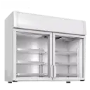 Congelador de baja temperatura de mesa (-10 °C a -25 °C)