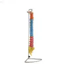 Modelo de columna vertebral tamano real