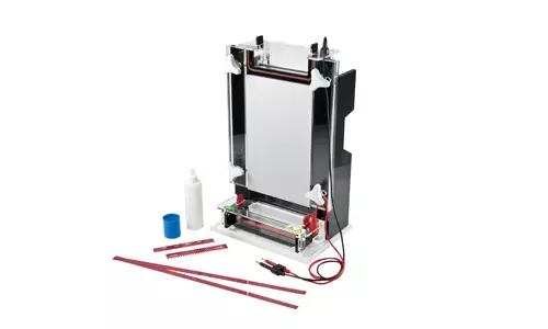 Secuenciación de Ácidos Nucleicos 