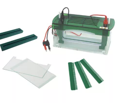 Camara de electroforesis vertical