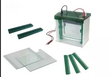 Camara de electroforesis vertical