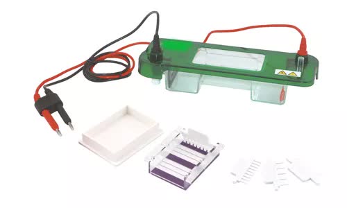 Celda de electroforesis vertical mini